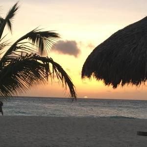 Meet your Posher, Sandy